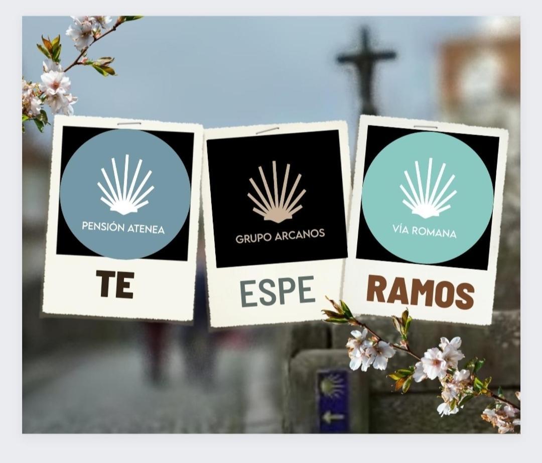 Apartamento Grupo Arcanos Las Palmeras Caldas De Reis Exterior foto